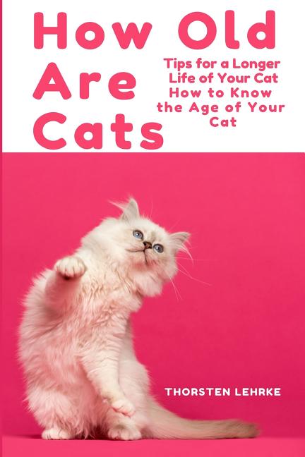 How Old Are Cats? Tips for a Longer Life of Your Cat: How to Know the Age of Your Cat