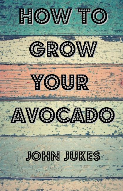 How To Grow Your Avocado