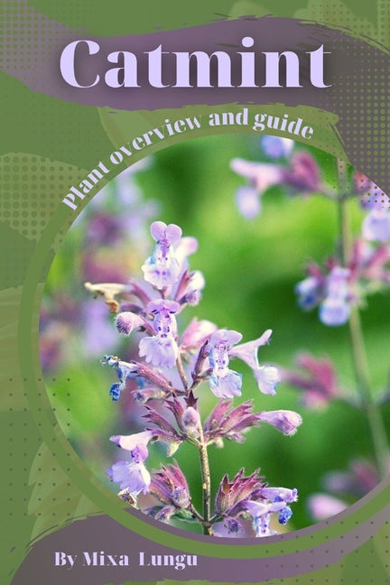 Catmint: Plant overview and guide