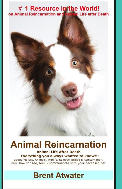 Animal Reincarnation: Everything You Always Wanted to Know! about Pet Reincarnation plus "how to" techniques to see, feel & communicate with