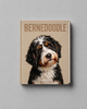 Bernedoodle