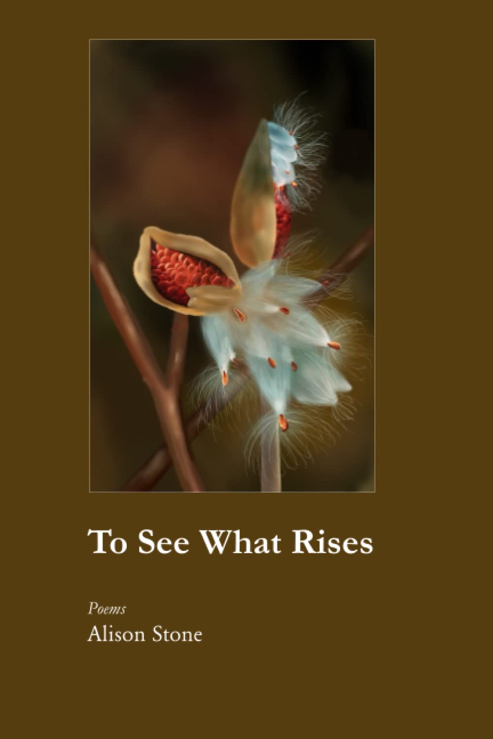 To See What Rises by Alison Stone