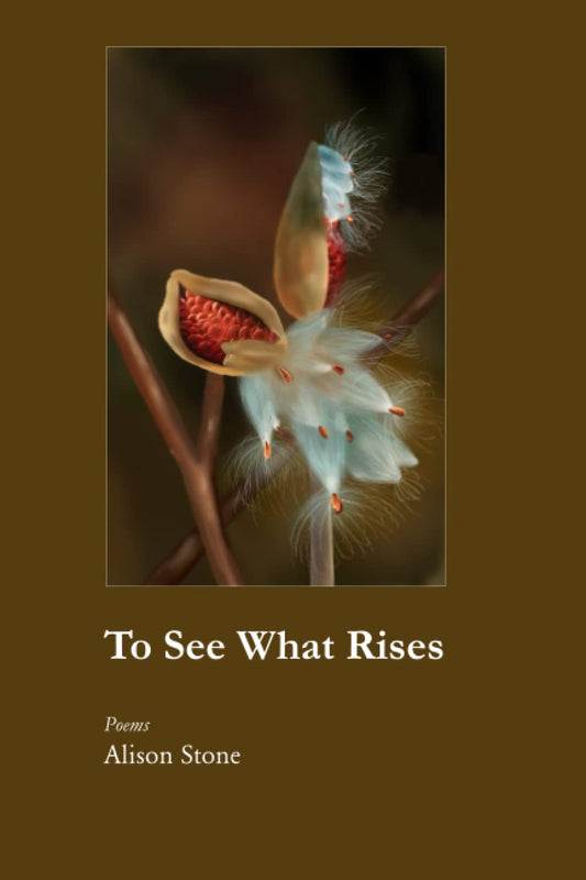 To See What Rises by Alison Stone