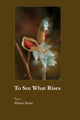 To See What Rises by Alison Stone