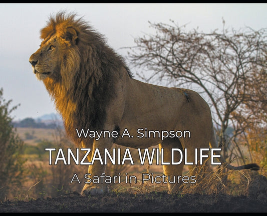 Tanzania Wildlife: A Safari in Pictures