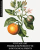 Vintage Art: Pierre-Joseph Redoute: 20 Botanical Prints