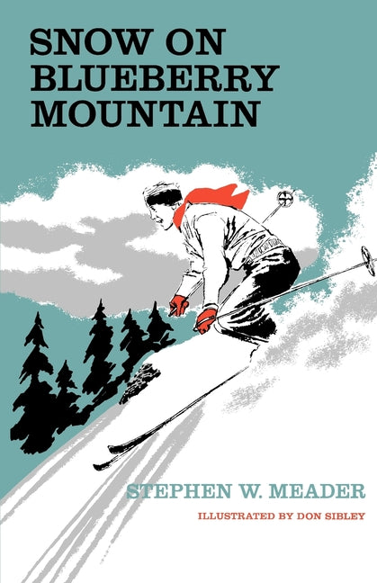 Snow On Blueberry Mountain