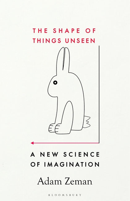 The Shape of Things Unseen: A New Science of Imagination