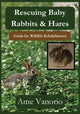 Rescuing Baby Rabbits & Hares: Guide for Wildlife Rehabilitators