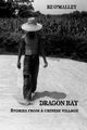 Dragon Bay: Stories from a Chinese Village