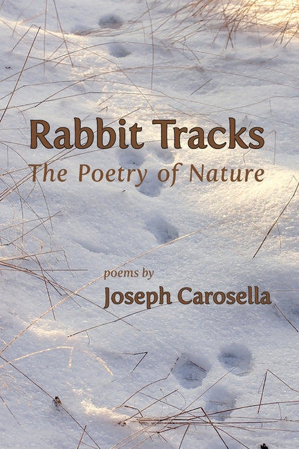 Rabbit Tracks: The Poetry of Nature