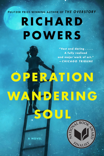 Operation Wandering Soul (Harperperennial)