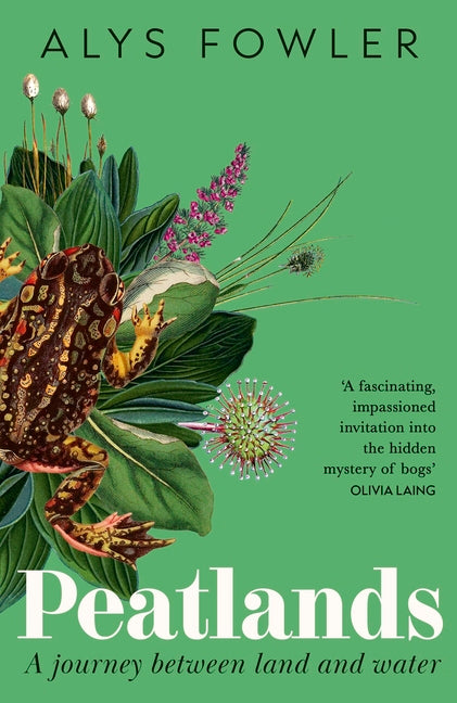 Peatlands: A Journey Between Land and Water