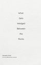 What Gets Wedged Between the Rocks A raw & unfiltered poetry collection